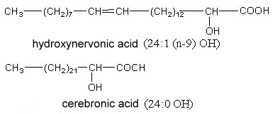 nervonic cerebronic acid