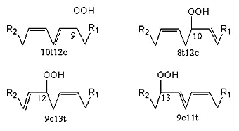 linoleic acid peroxidation