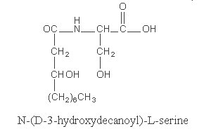 hydroxydecanoyl serine