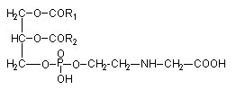 phosphatidylglycerol structure