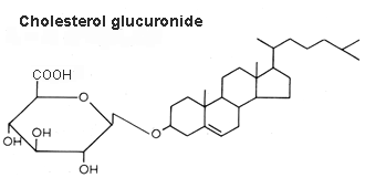 cholesterol glucuronide