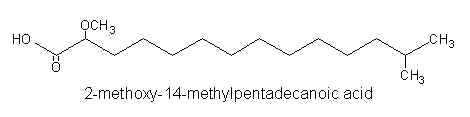 Branched methoxy fatty acid