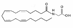 Arachidonylglycine