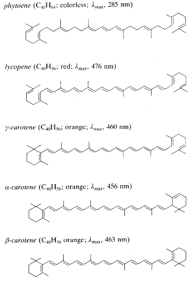 carotenoids