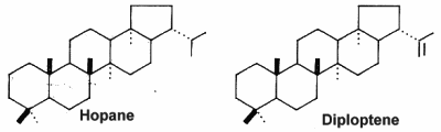 hopane, diploptene