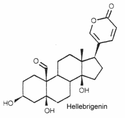 Bufadienolides : hellebrigenin