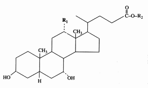 Bile acids, cholic acid, glycocholic, taurocholic