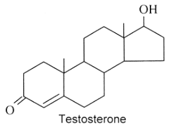 testosterone