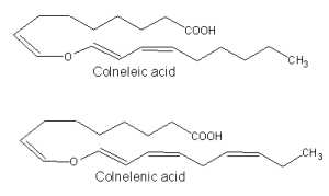 colneleic colnelenic acids