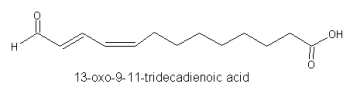 oxo fatty acid