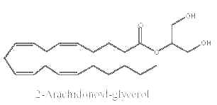 arachidonoyl glycerol