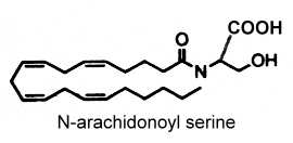 Arachidonoyl serine