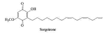 sorgoleone