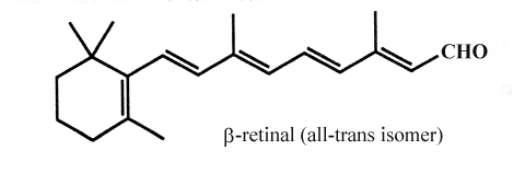 retinal