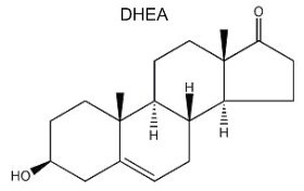 DHEA