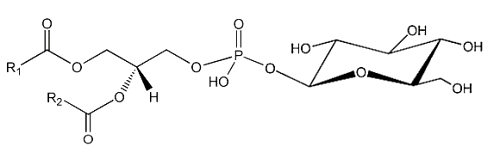 glycosylated phosphatidic acid