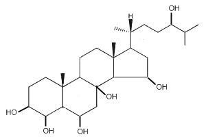 cholestane hexaol