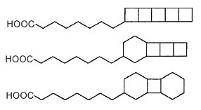 ladderane fatty acids