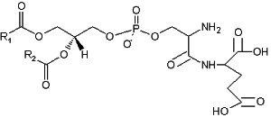 phosphatidylglycerol structure