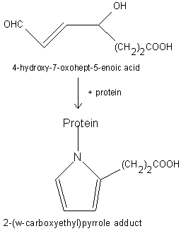 carboxyethyl pyrrole