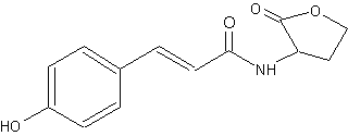 Coumaroyl-homoserine lactone