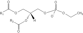 Phosphatidyl ethanol