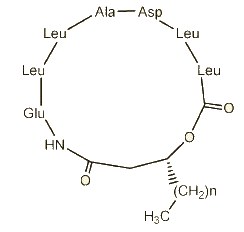 lipopeptide