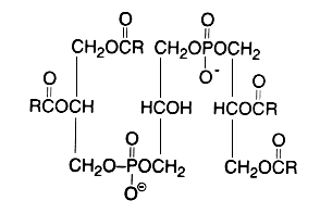 phosphatidylglycerol structure