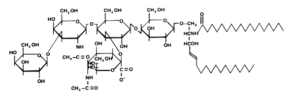 ganglioside structure