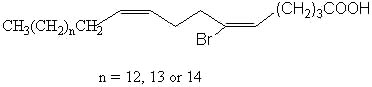 wpe1C.jpg (4326 octets)