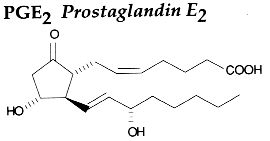 prostaglandin E2