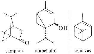 camphor, umbellulol, pinene