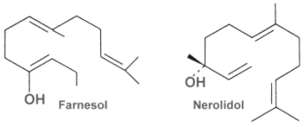 farnesol, nerolidol