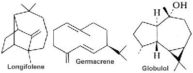 longifolene, germacrene, globulol