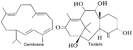 cembrene, taxisin