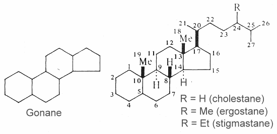 gonane, hydrocarbon, steroids, cholestane, ergostane, stigmastane