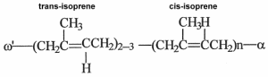 rubber isoprene chain