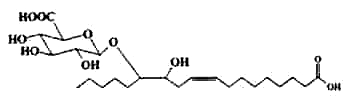 fatty acid glucuronide