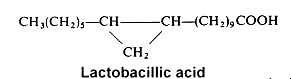 lactobacillic acid