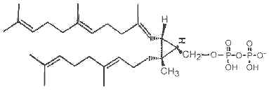 presqualene diphosphate