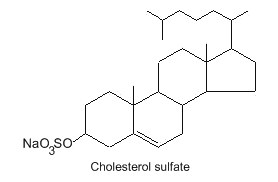 cholesterol sulfate