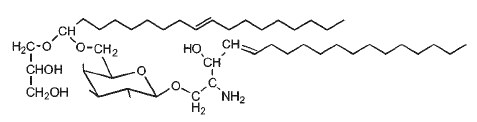 glyceroplasmalopsychosine