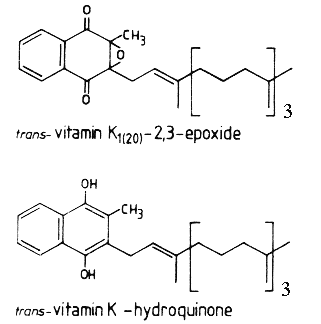 vitamin k structure