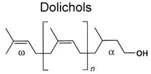 dolichol structure