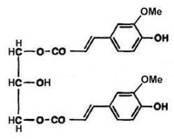 diacylglycerol structure