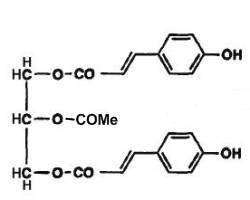 coumaroyl triglycerol