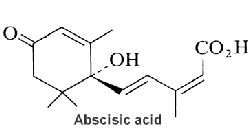 abscisic acid