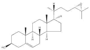 epoxycholesterol