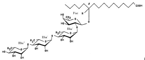 operculinic acid