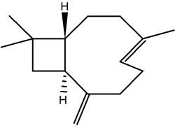 caryophyllene